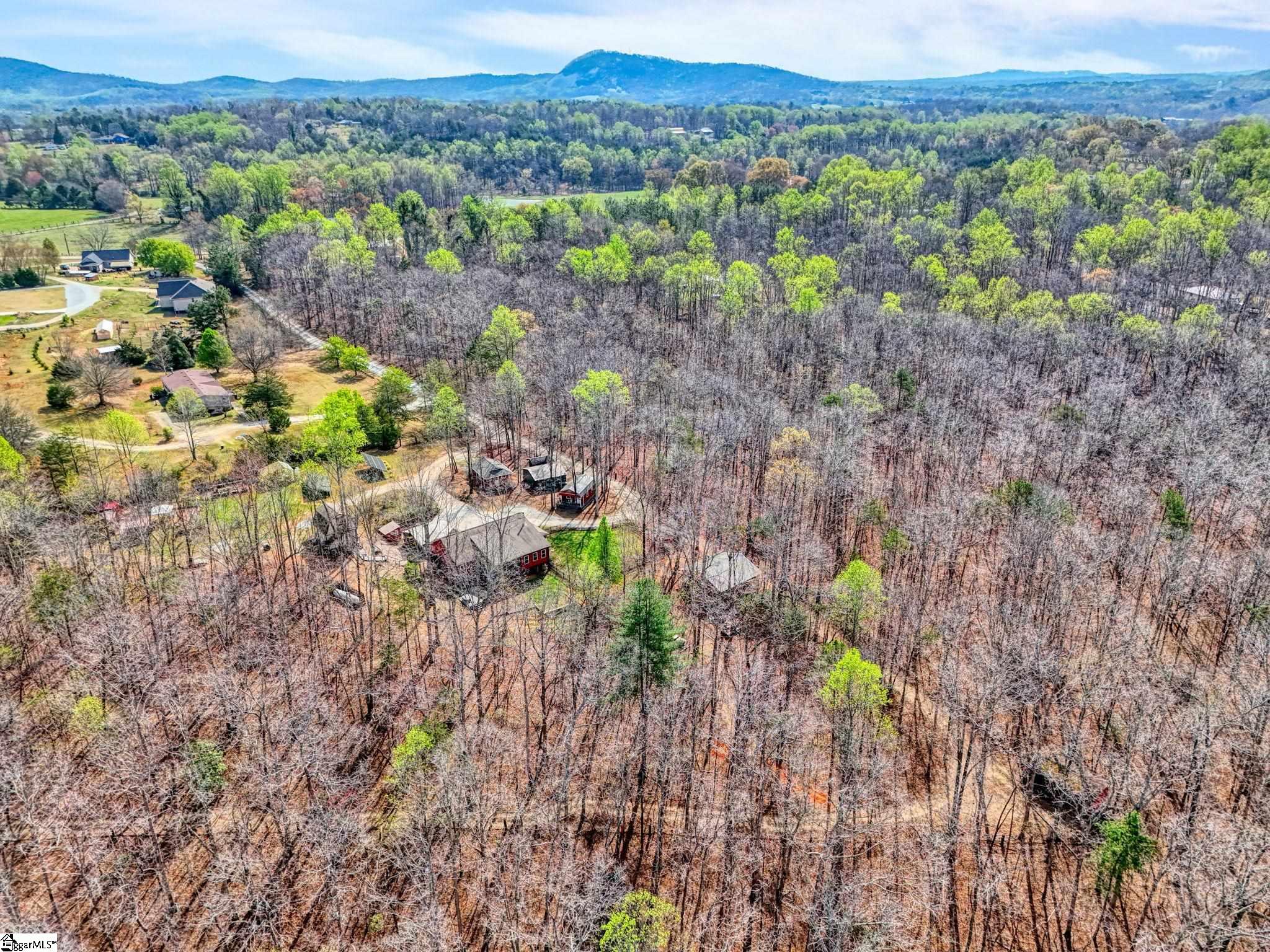 146 Bert Mae Lane Pickens, SC 29671 - Photo 48 of 49