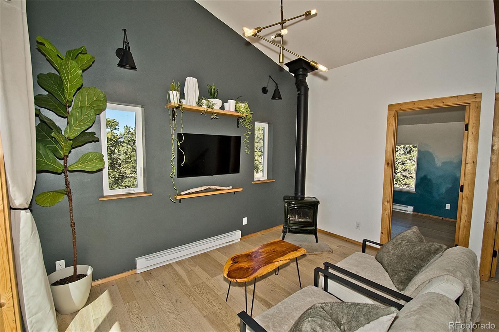 4352 Rarity Way Crestone, CO 81131 - Photo 18 of 49 a living room with furniture and a flat screen tv