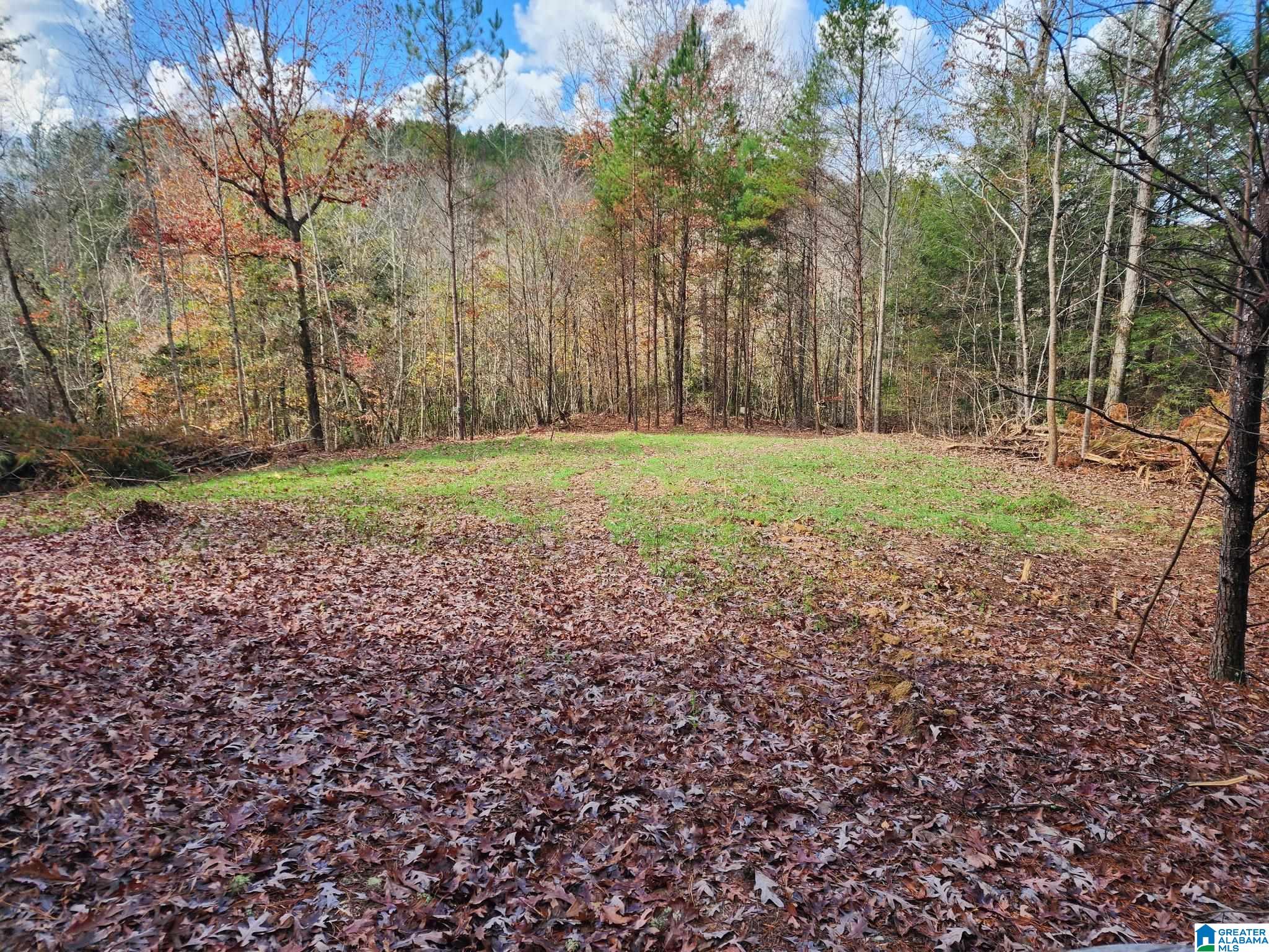 2 County Road 2, Unit 50 / ACRES Double Springs, AL 35553 - Photo 4 of 79