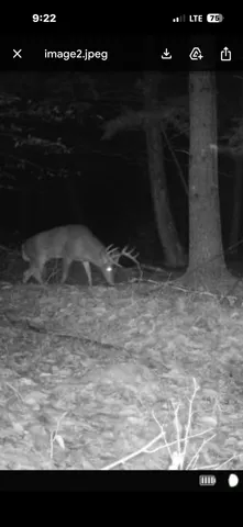 $255,000 | 82 Dodge Road, Burnham, ME 04922