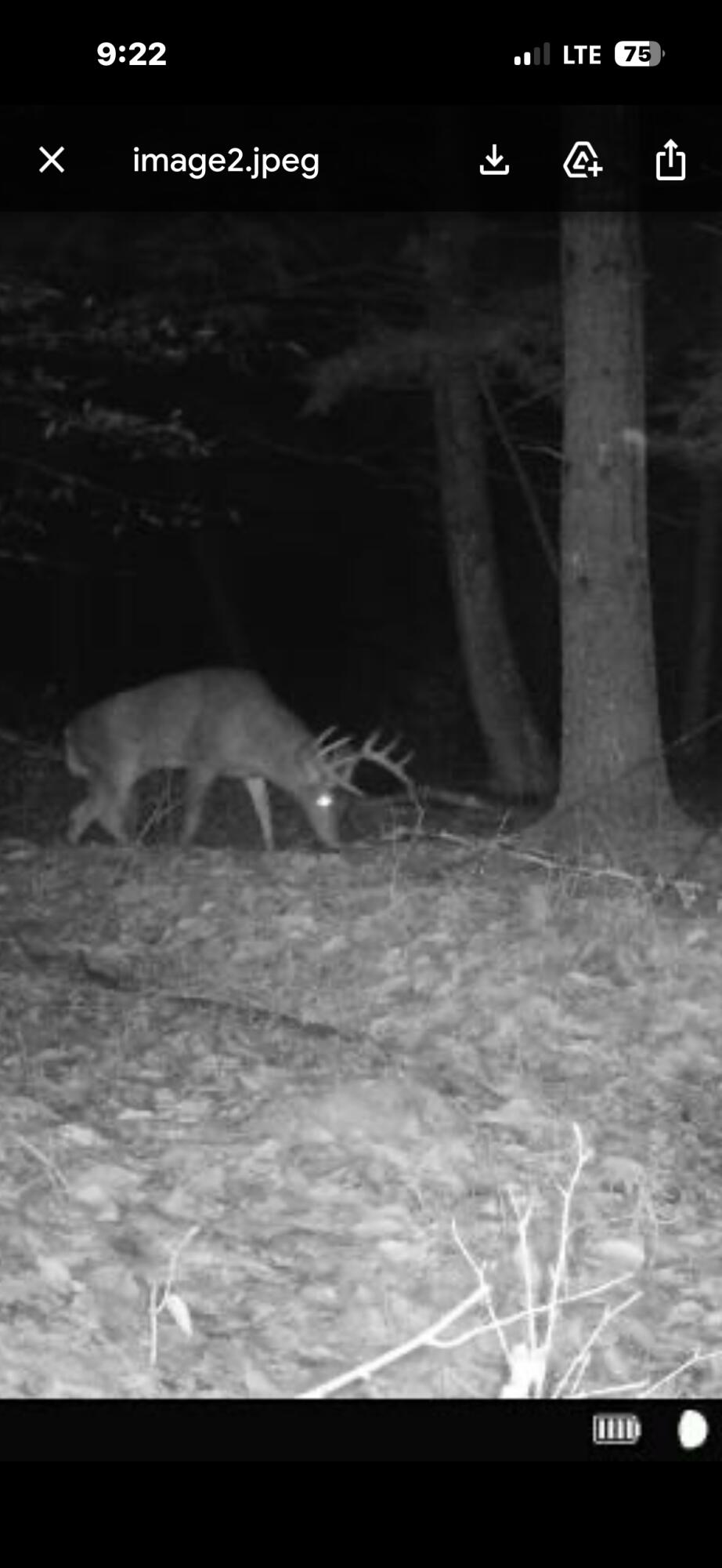 82 Dodge Road Burnham, ME 04922 - Photo 35 of 42 IMG_5909