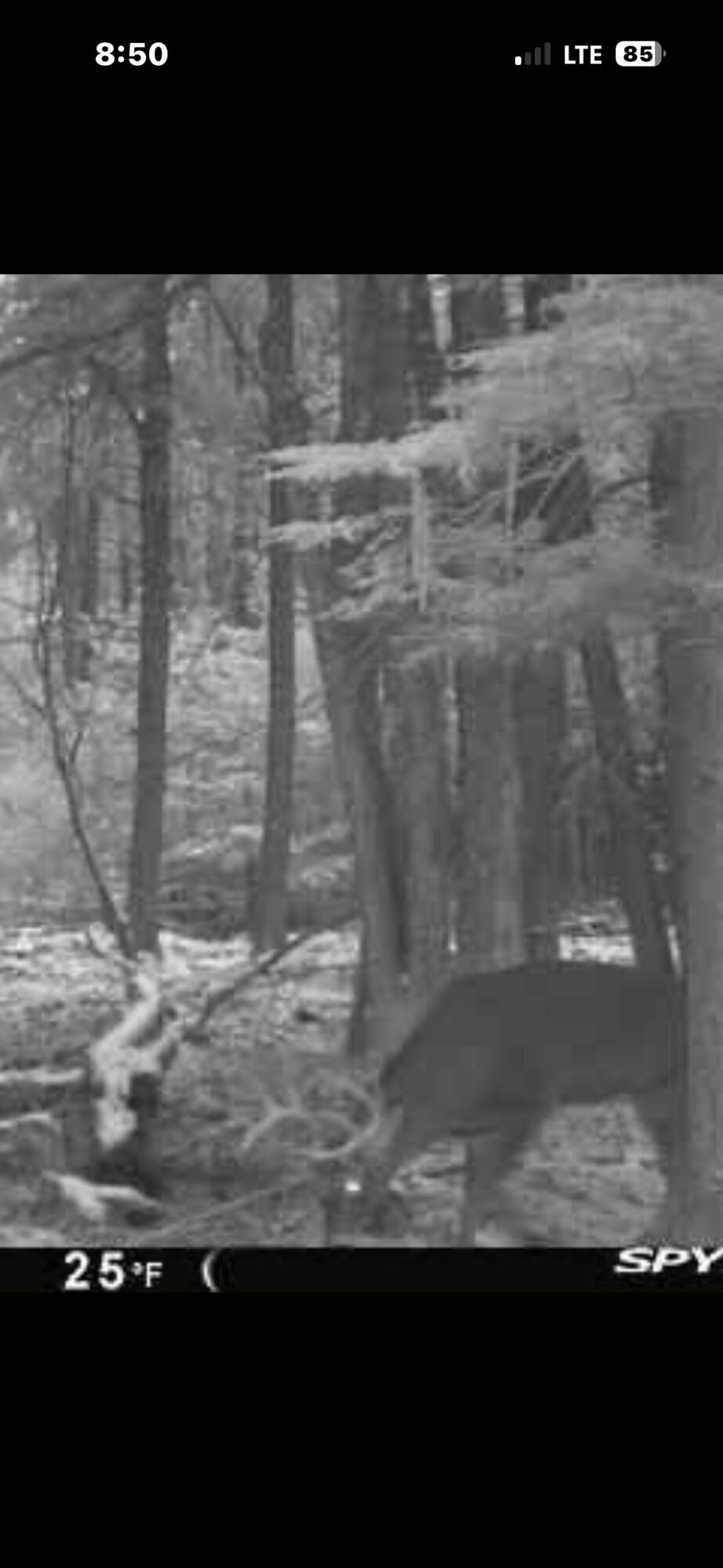 82 Dodge Road Burnham, ME 04922 - Photo 36 of 42 IMG_5885