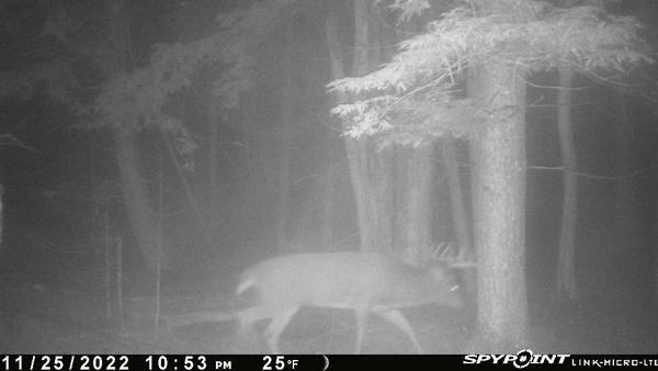 82 Dodge Road Burnham, ME 04922 - Photo 38 of 42 image1