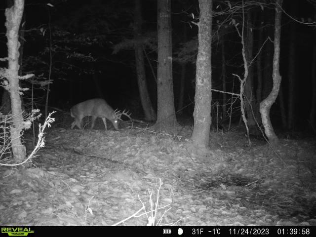 82 Dodge Road Burnham, ME 04922 - Photo 39 of 42 image2