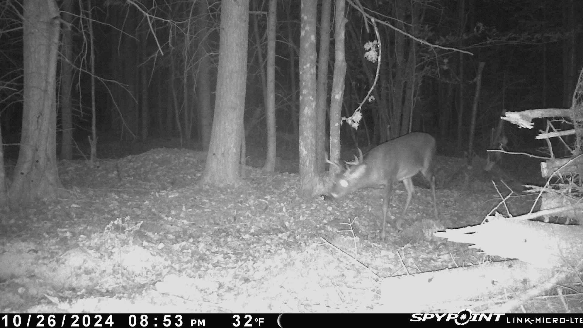 82 Dodge Road Burnham, ME 04922 - Photo 40 of 42 image4