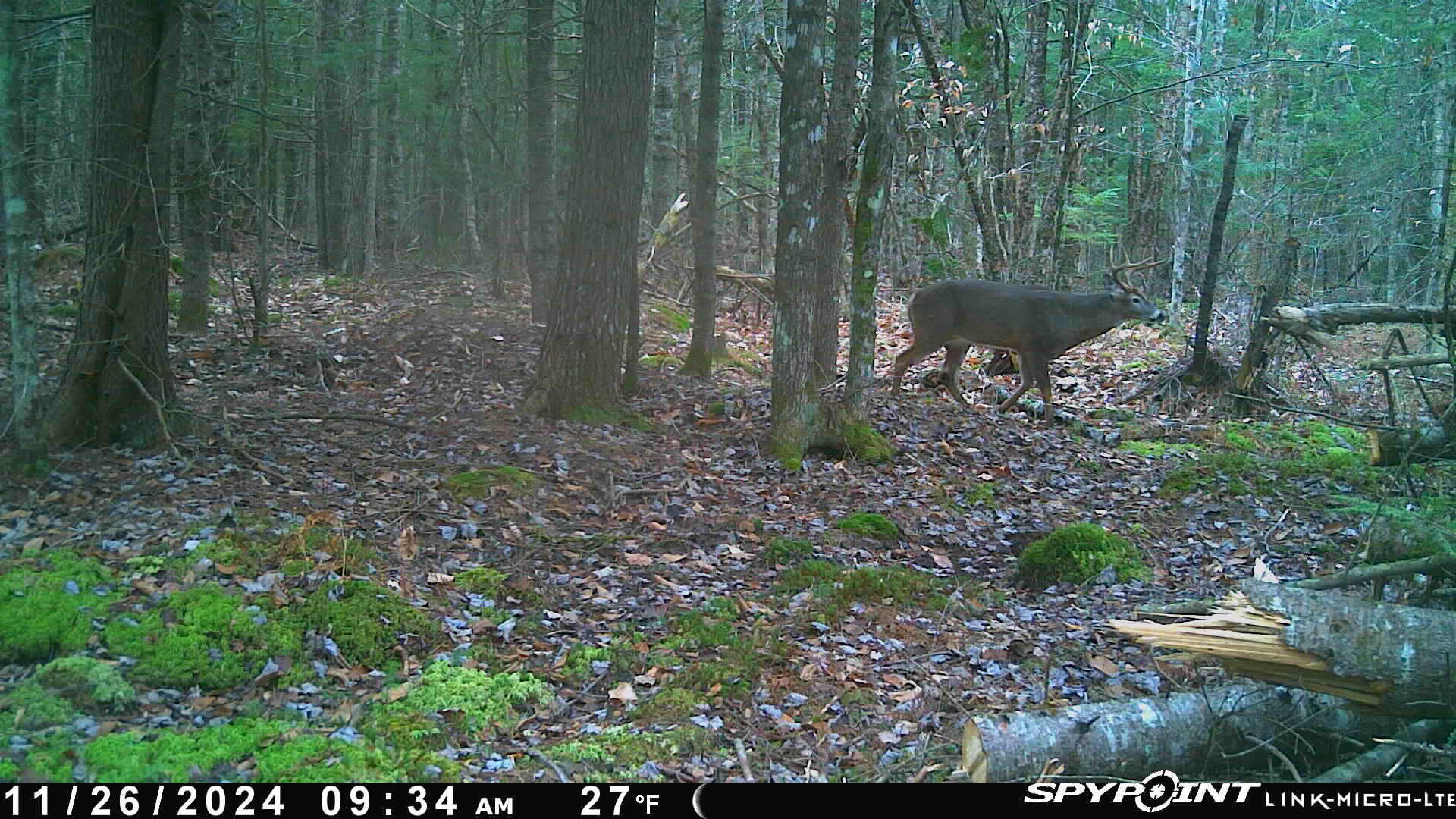 82 Dodge Road Burnham, ME 04922 - Photo 41 of 42 image5