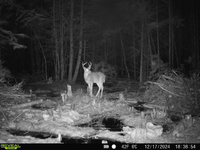 82 Dodge Road Burnham, ME 04922 - Photo 42 of 42 image6