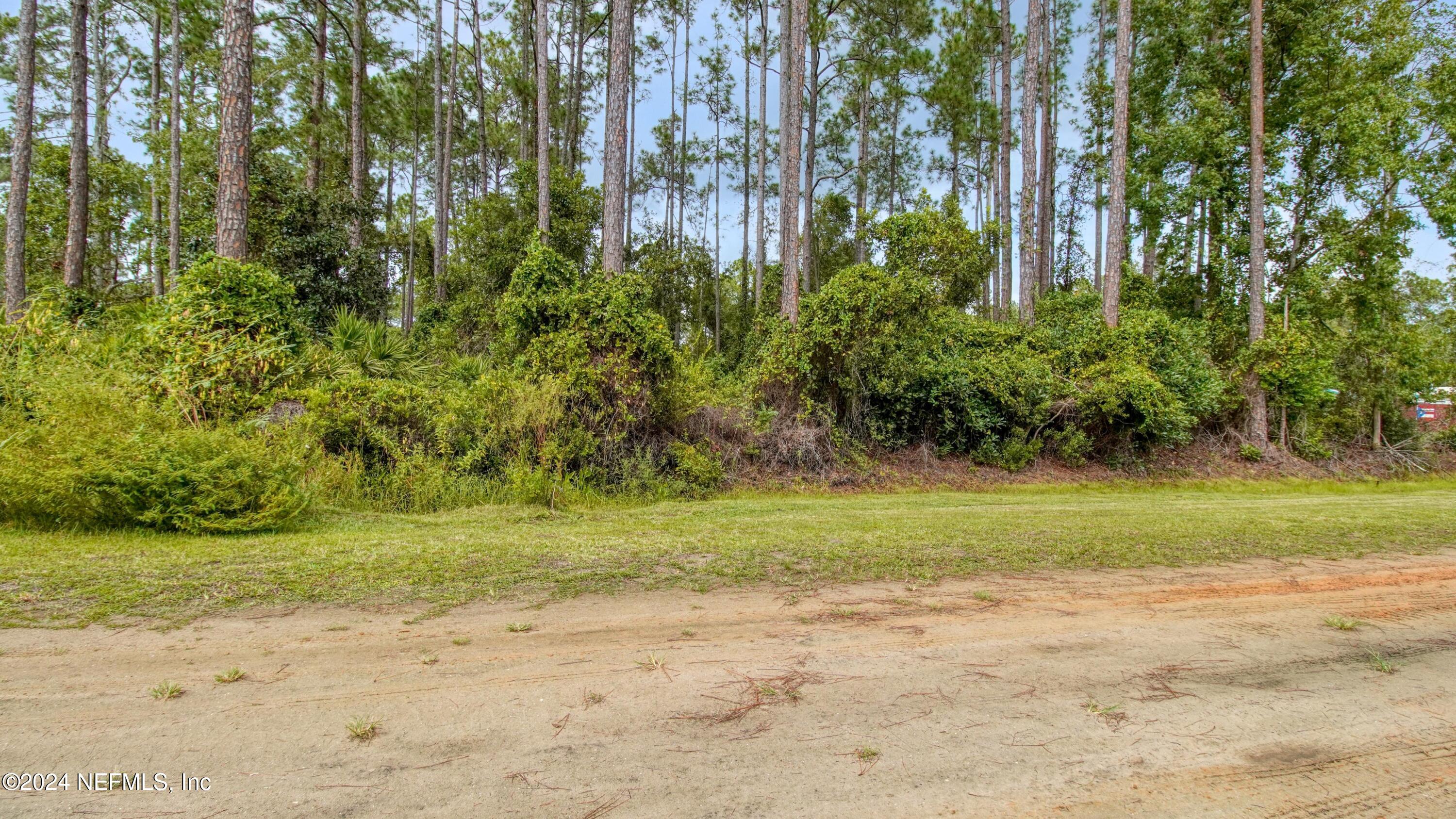 124 Pineshore Road Satsuma, FL 32189 - Photo 8 of 14 9