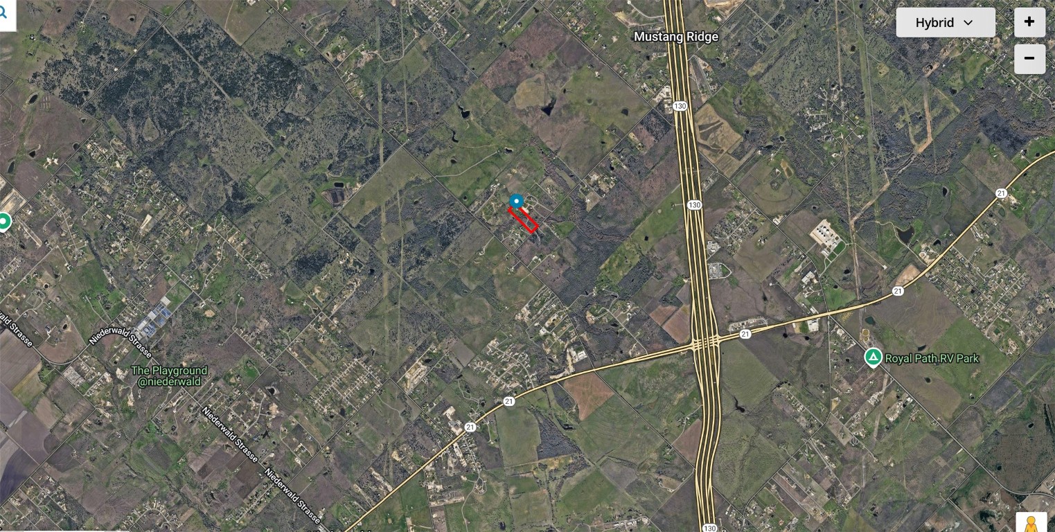 13414 Elm Grove Road Buda, TX 78610 - Photo 22 of 25 a picture of tree