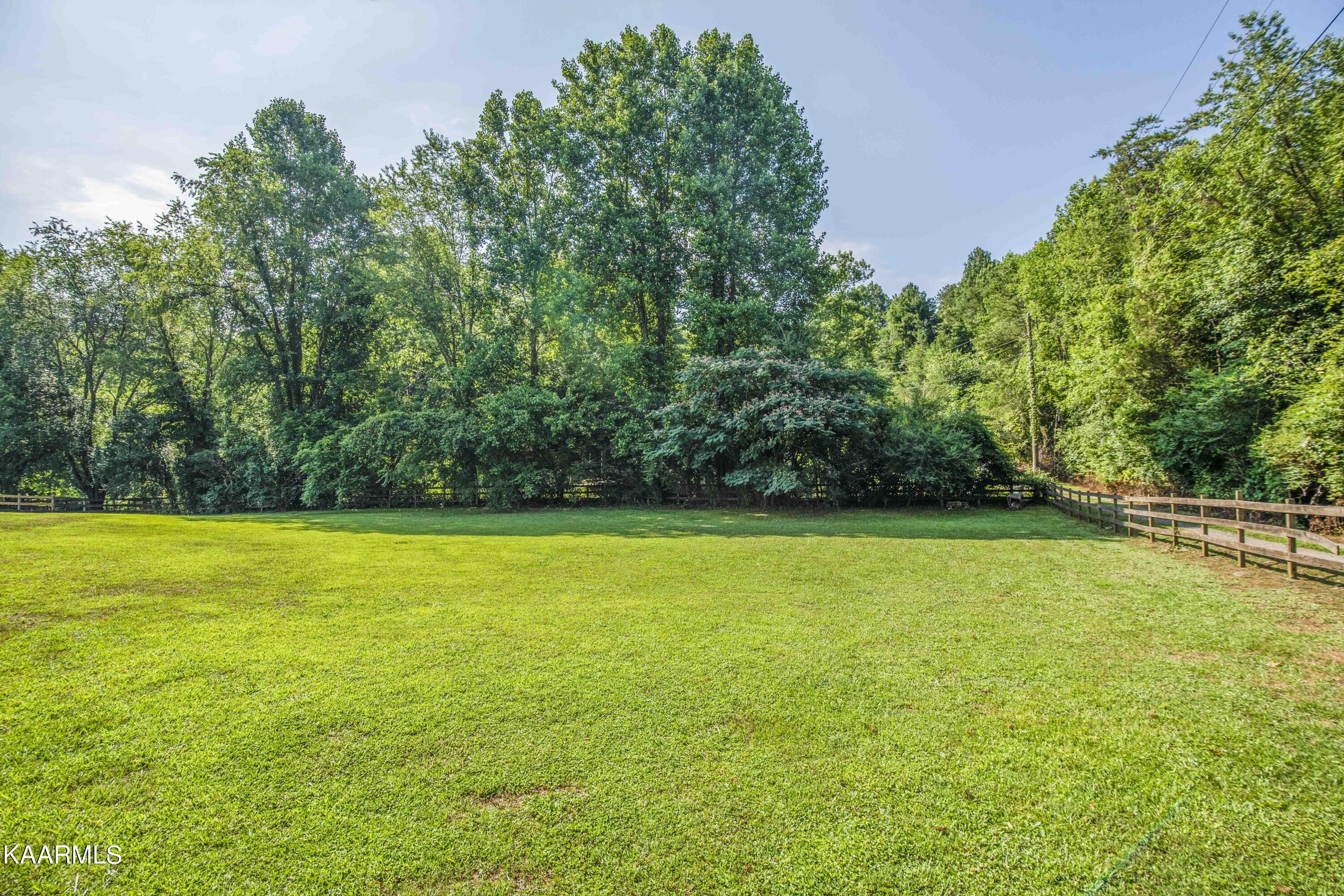 7766 Berry Williams Road Townsend, TN 37882 - Photo 49 of 60 yard 1_1