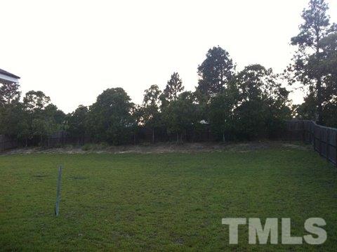 2008 Tingen Road Lillington, NC 27546 - Photo 19 of 25 a view of a field