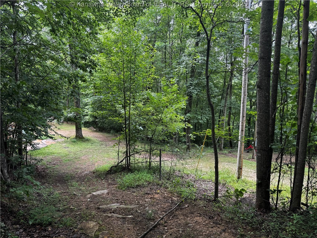 39 Fox Chase Road Alum Creek, WV 25003 - Photo 15 of 24 Gallery Image 15