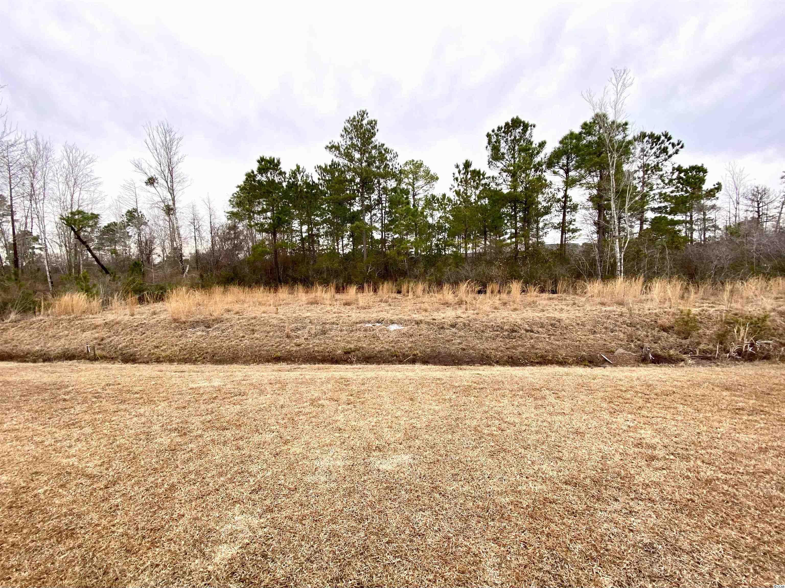 136 Legends Village Loop Myrtle Beach, SC 29579 - Photo 21 of 24 Gallery Image 21