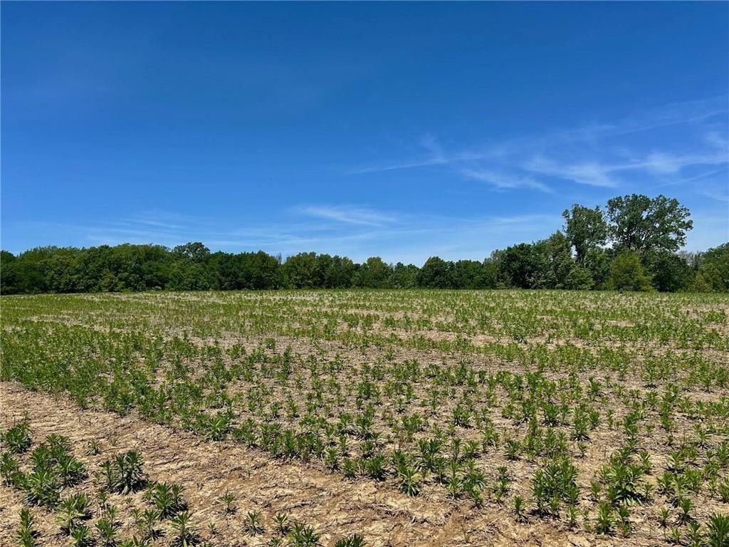 34914 East Colbern Road Lone Jack, MO 64070 - Photo 1 of 22