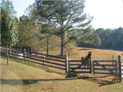 3820 Alabama Road Apison, TN 37302 - Photo 3 of 8 Additional Photo