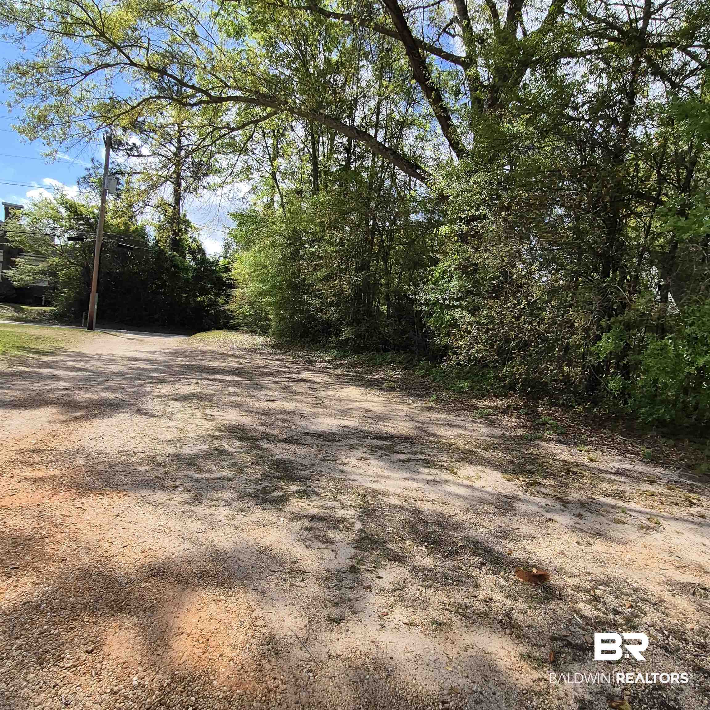 305 Rural Street Evergreen, AL 36401 - Photo 29 of 32 View of dirt / gravel road