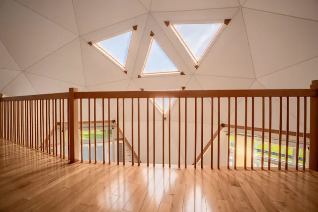 a view of a big yard with large trees