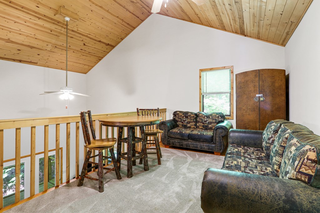 314 Wild Ridge Road Blairsville, GA 30512 - Photo 28 of 37 Gallery Image 28