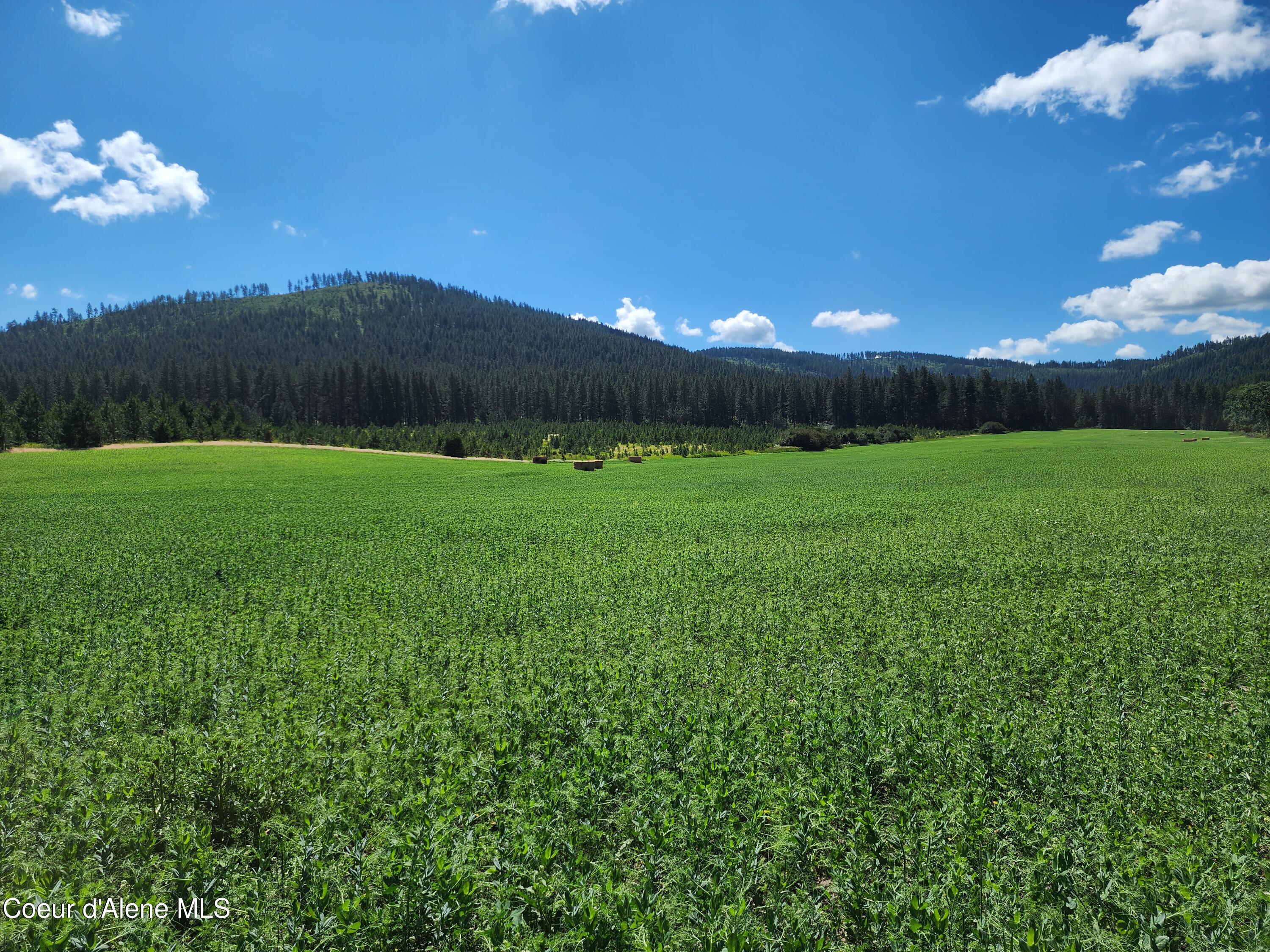 Nka Desmet Road Desmet, ID 83824 - Photo 1 of 37 Desmet Rd