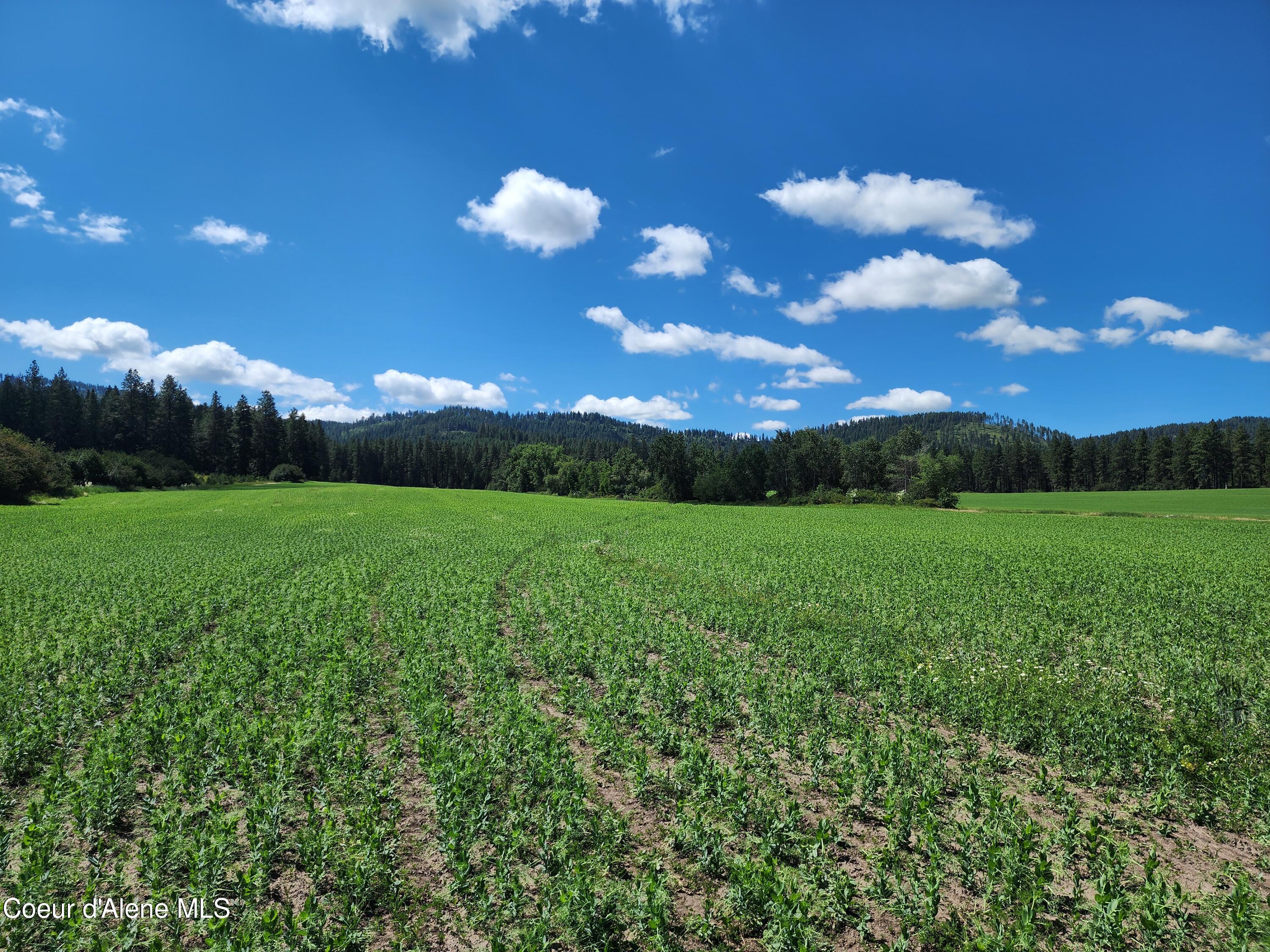 Nka Desmet Road Desmet, ID 83824 - Photo 15 of 37 Desmet Rd