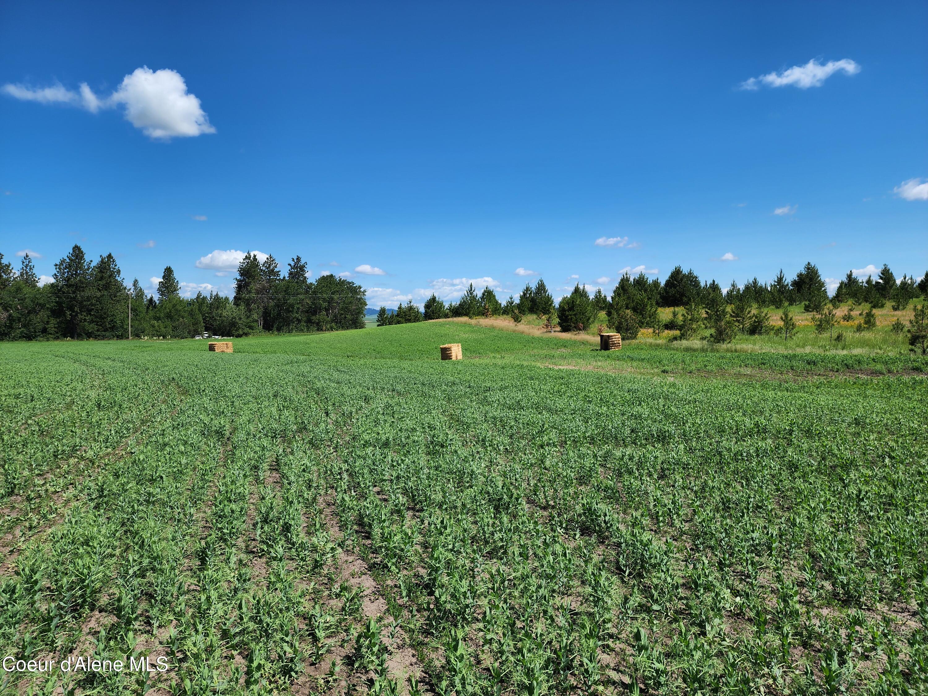 Nka Desmet Road Desmet, ID 83824 - Photo 17 of 37 Desmet Rd