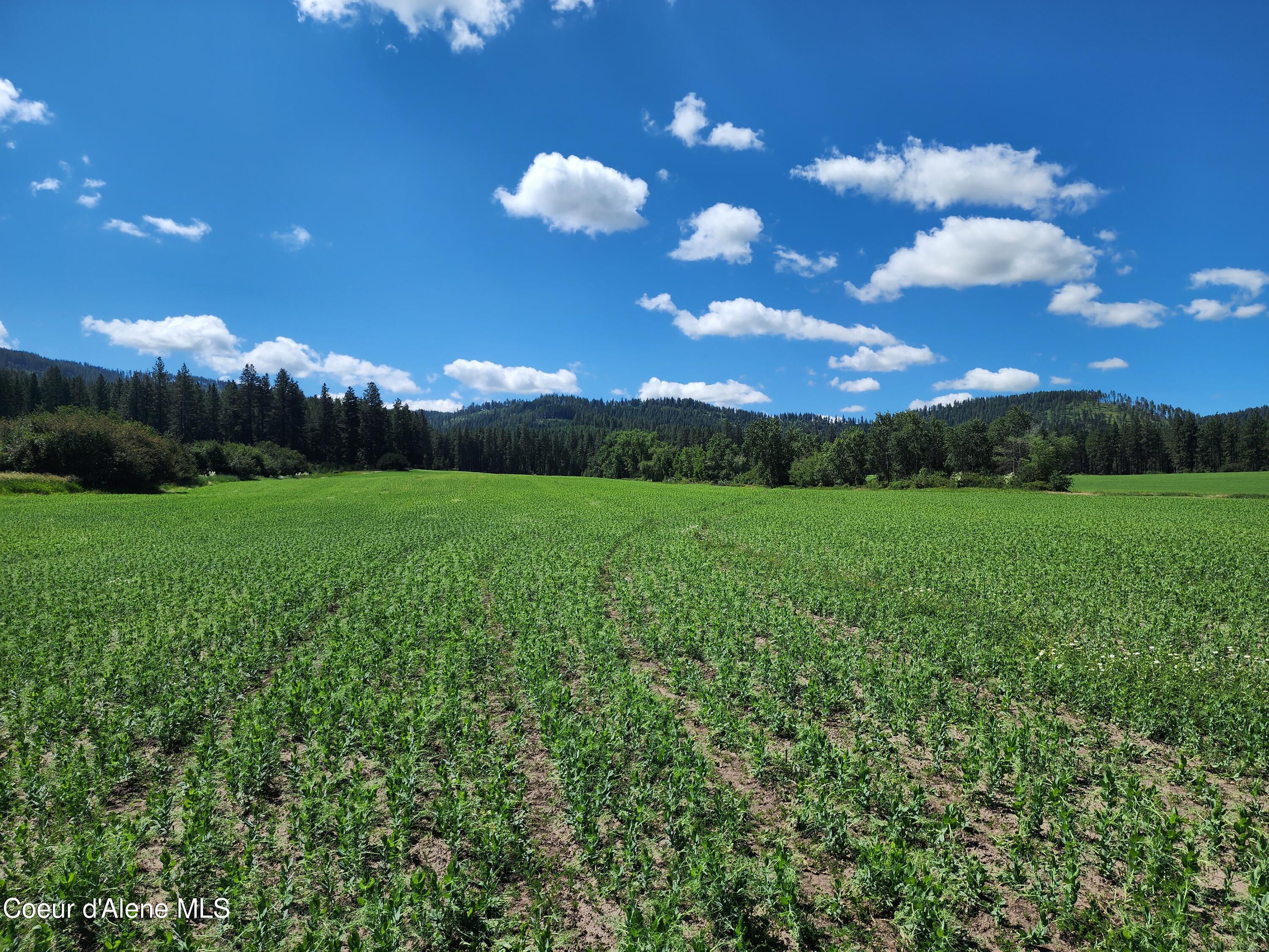 Nka Desmet Road Desmet, ID 83824 - Photo 18 of 37 Desmet Rd