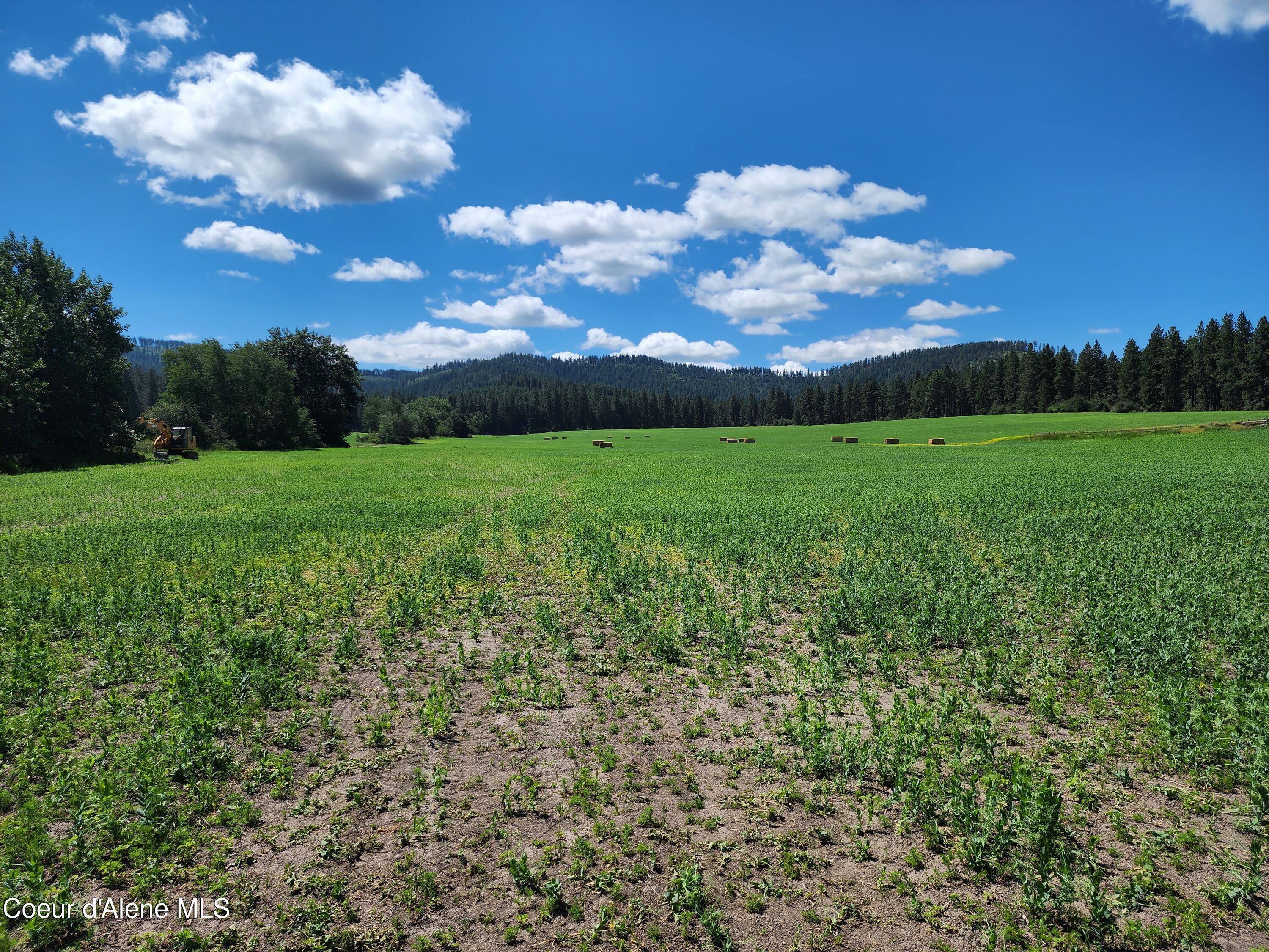Nka Desmet Road Desmet, ID 83824 - Photo 19 of 37 Desmet Rd