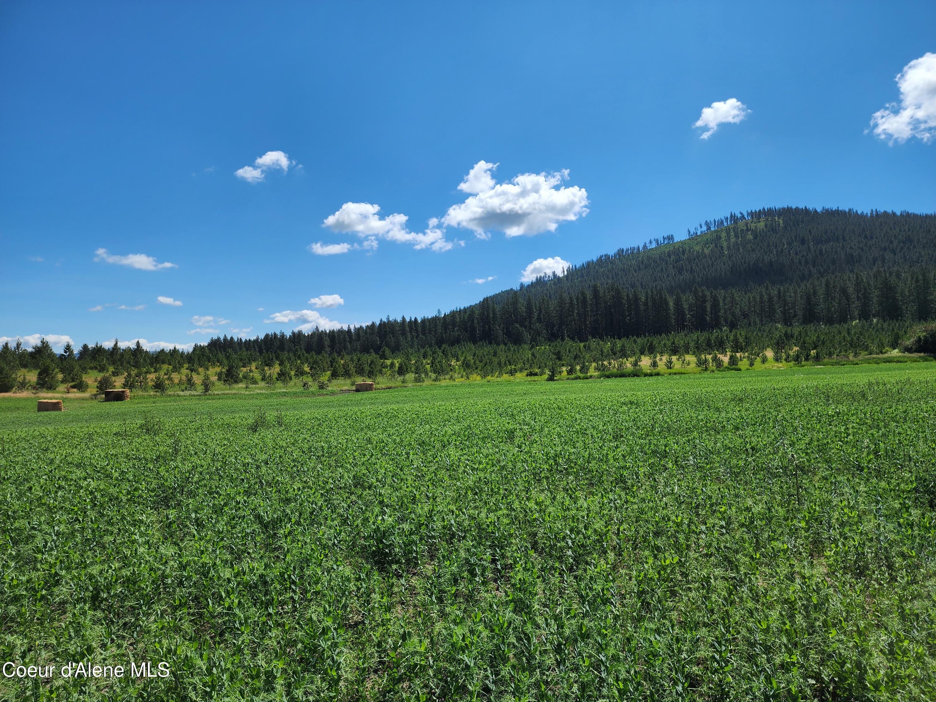 Nka Desmet Road Desmet, ID 83824 - Photo 20 of 37 Desmet Rd