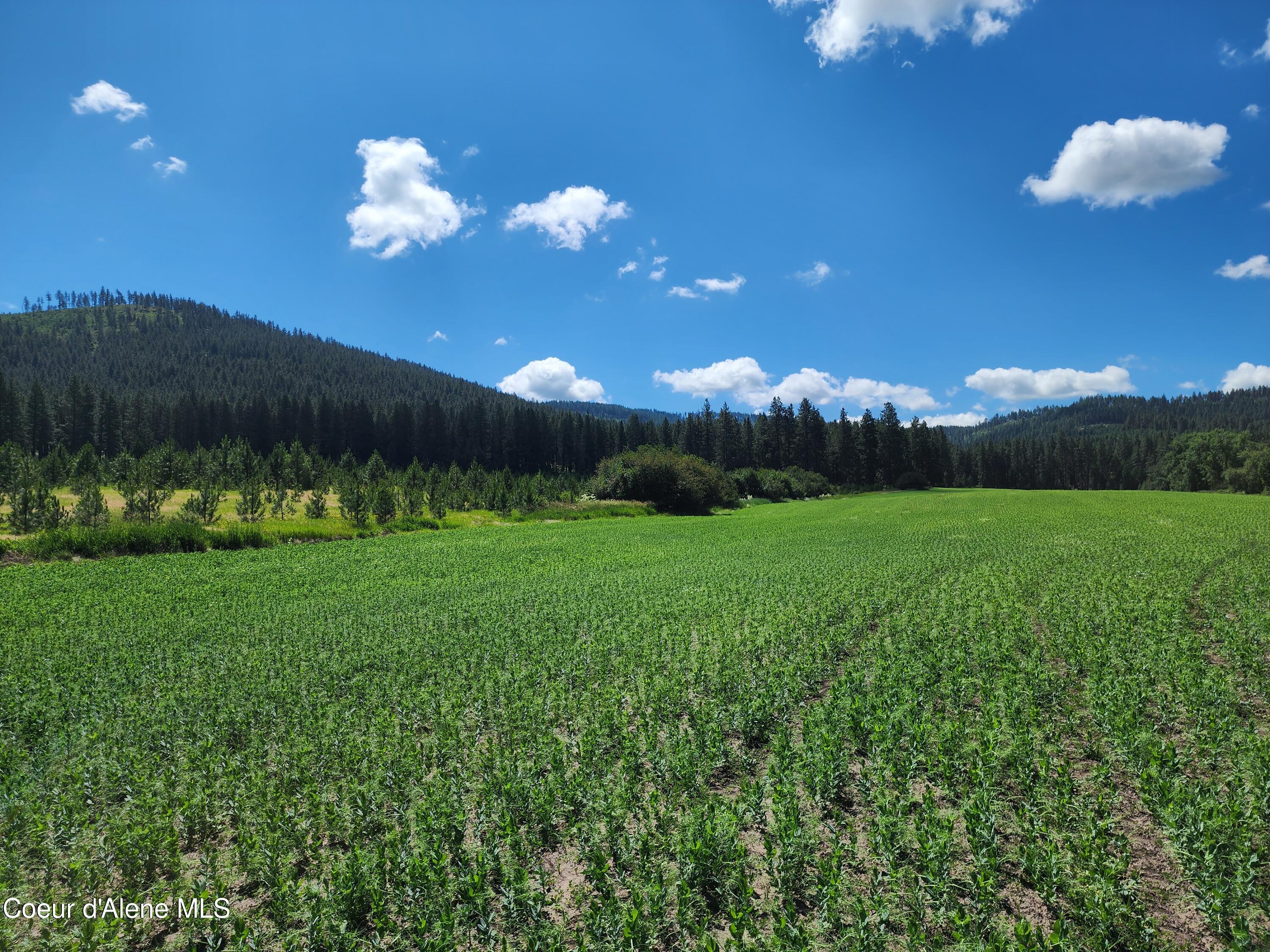 Nka Desmet Road Desmet, ID 83824 - Photo 23 of 37 Desmet Rd