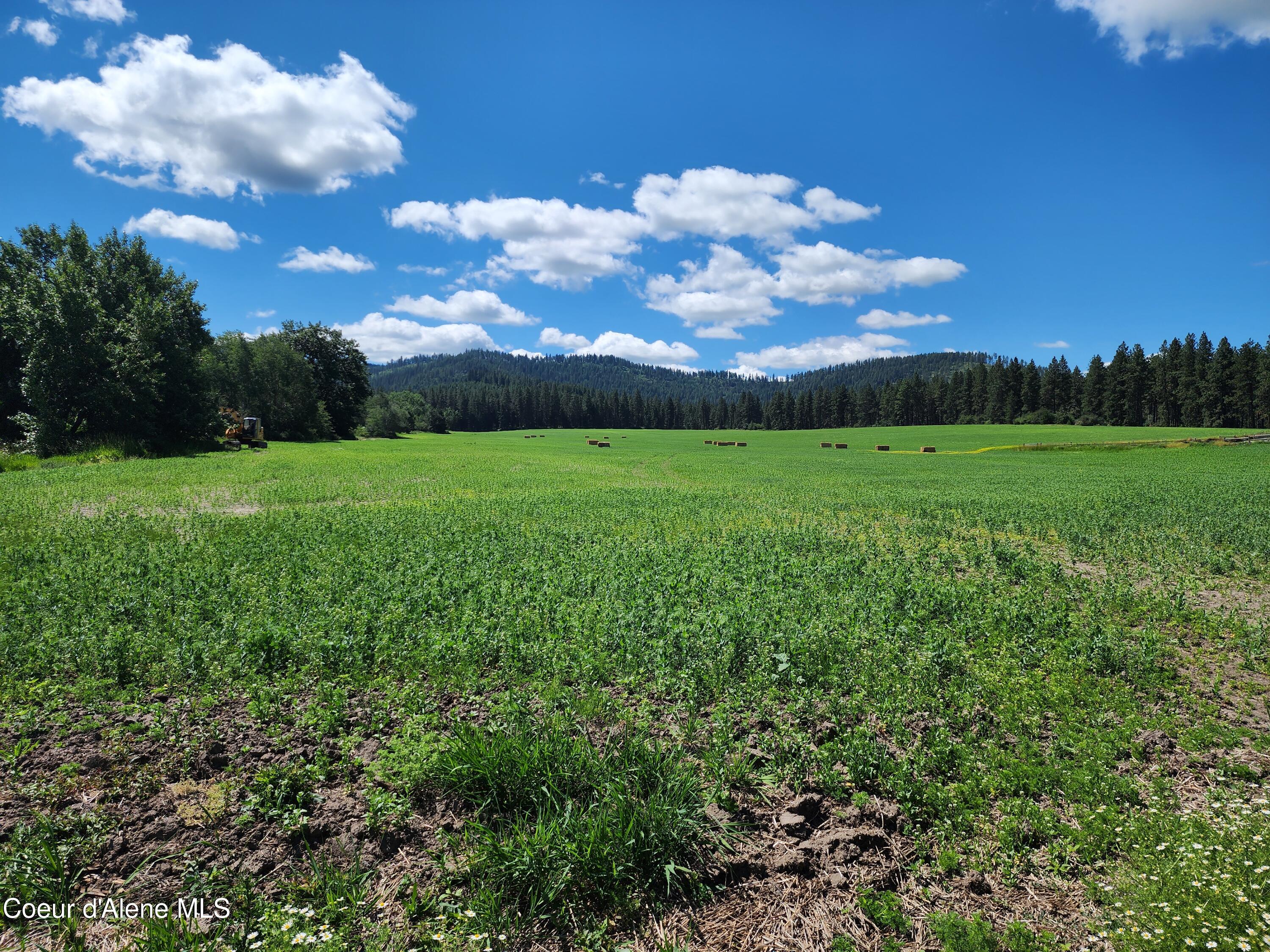 Nka Desmet Road Desmet, ID 83824 - Photo 25 of 37 Desmet Rd