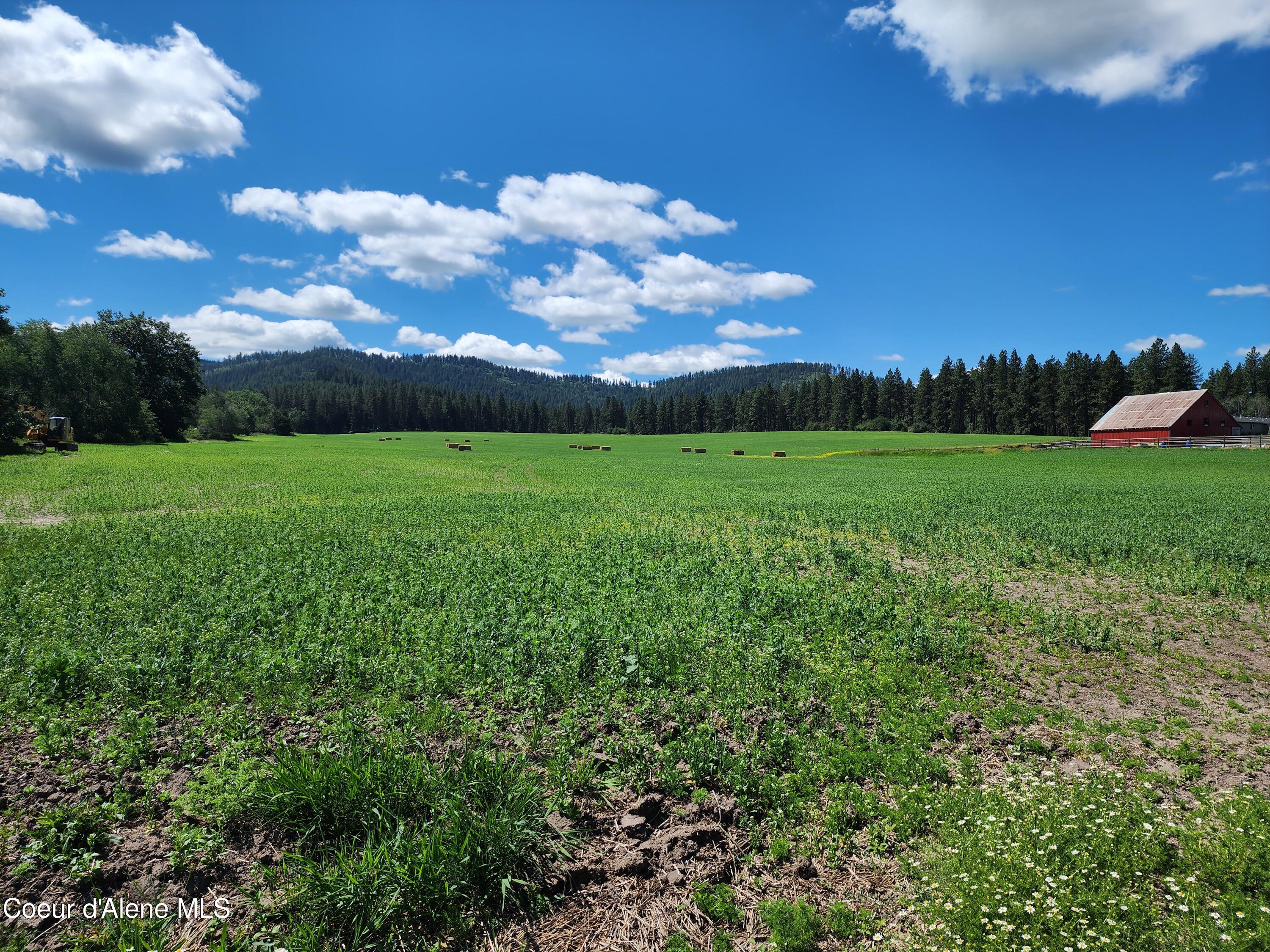 Nka Desmet Road Desmet, ID 83824 - Photo 27 of 37 Desmet Rd
