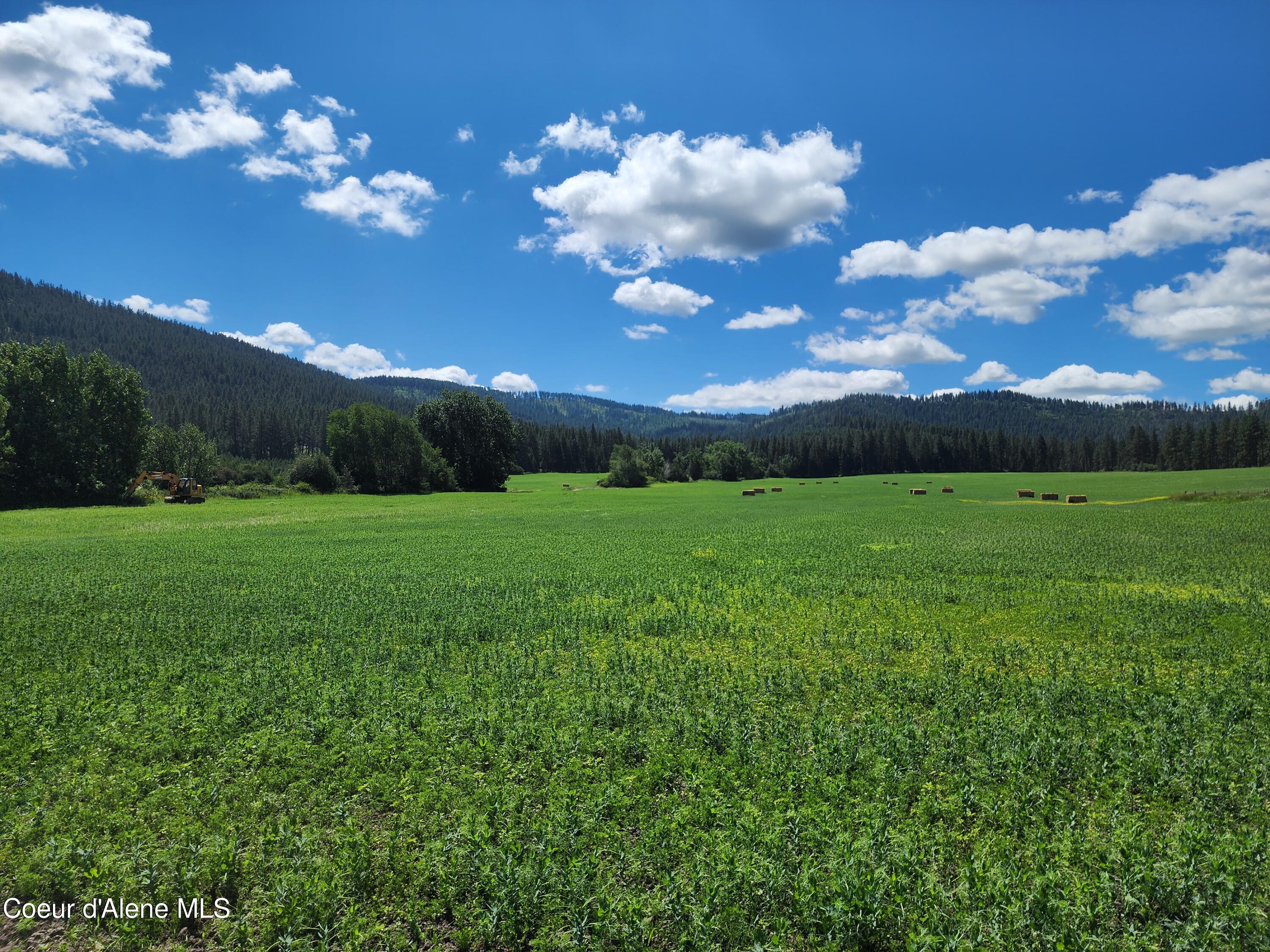 Nka Desmet Road Desmet, ID 83824 - Photo 3 of 37 Desmet Rd