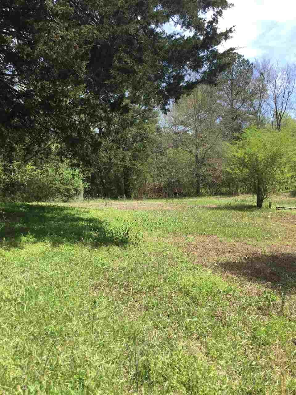 170 Clark Road Somerville, TN 38068 - Photo 8 of 14 Gallery Image 8