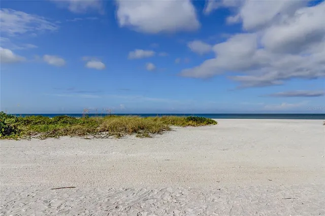 a view of a yard with palm tree