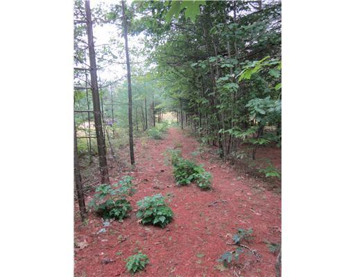 7 Bailey Road Bethel, ME 04217 - Photo 14 of 15 Land. Bike and cross country trails...