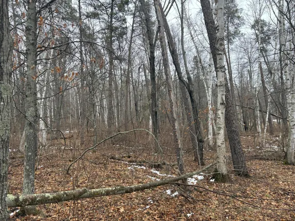 $11,400 | 30-xxx Rainier Drive, Breezy Point, MN 56472