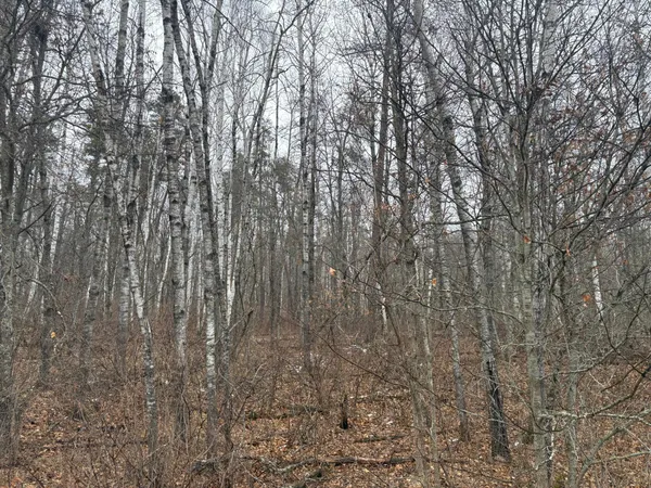 $11,400 | 30-xxx Rainier Drive, Breezy Point, MN 56472