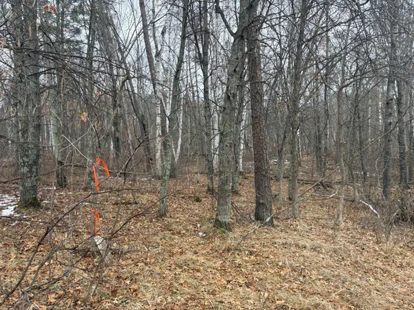 $11,400 | 30-xxx Rainier Drive, Breezy Point, MN 56472