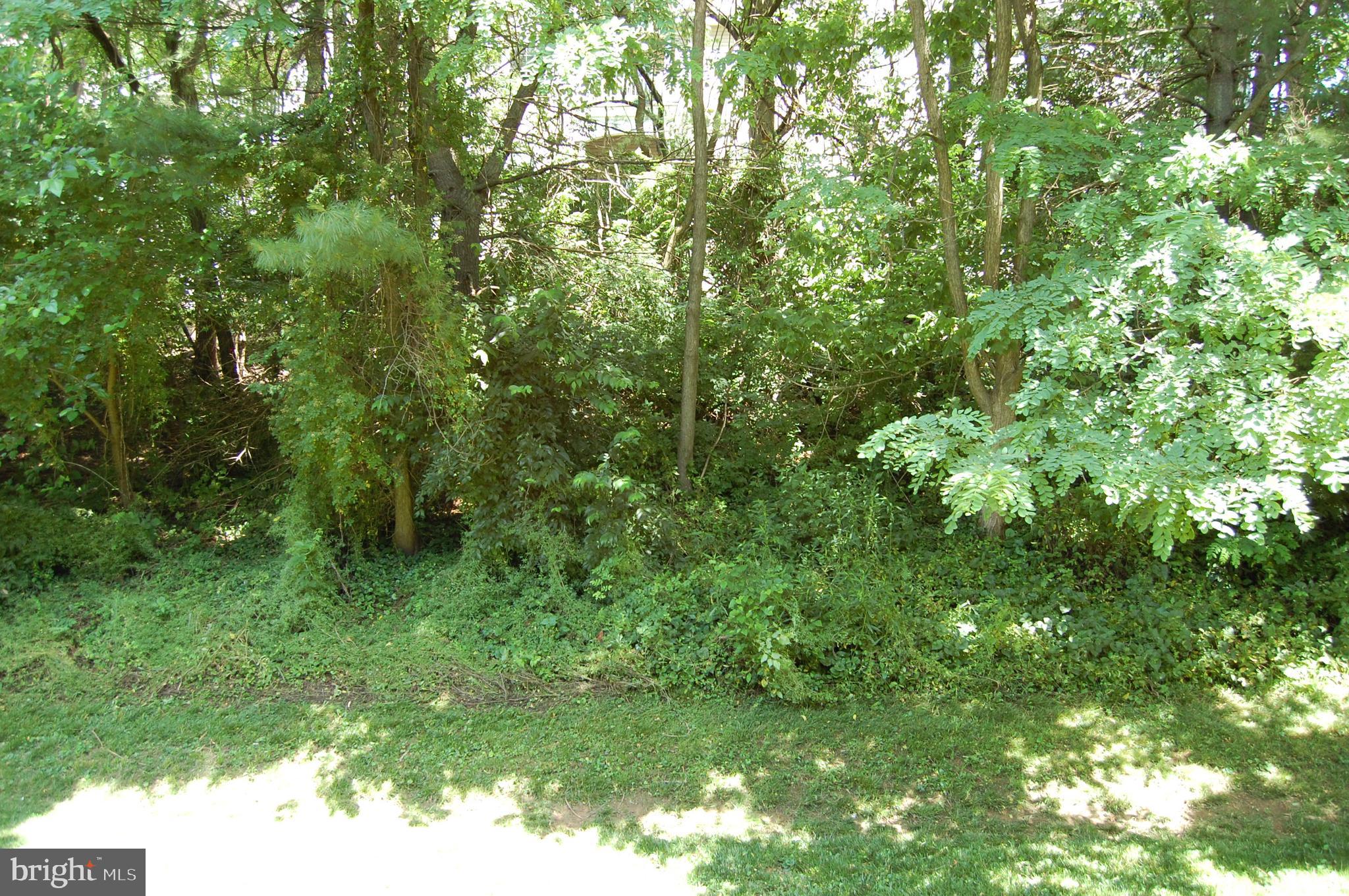2618 Eagle Road West Chester, PA 19382 - Photo 22 of 26 Back yard view
