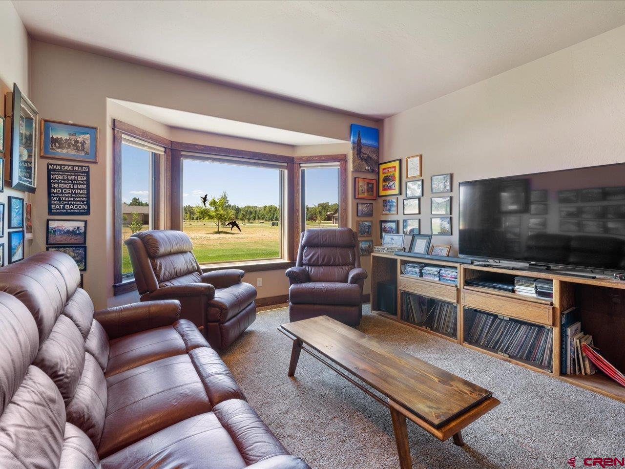 20784 6840th Road Montrose, CO 81403 - Photo 19 of 35 a living room with furniture and a flat screen tv