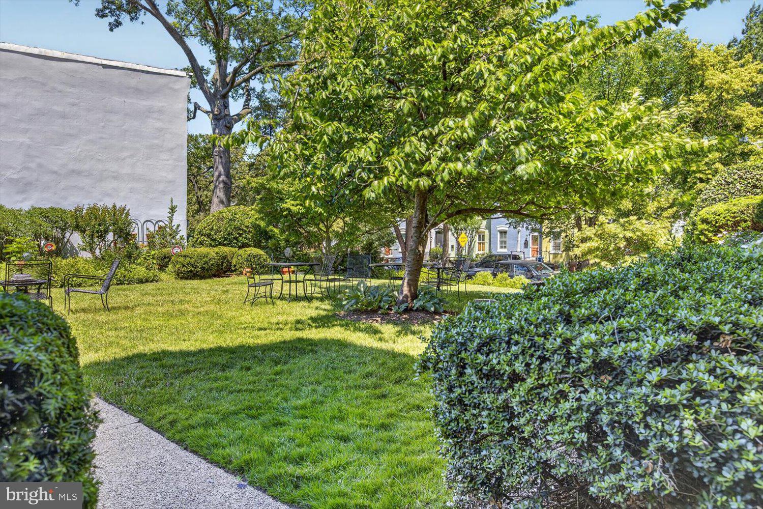 410 5th Street Northeast, Unit 1 Washington, DC 20002 - Photo 32 of 37 Lush garden oasis with serene seating.