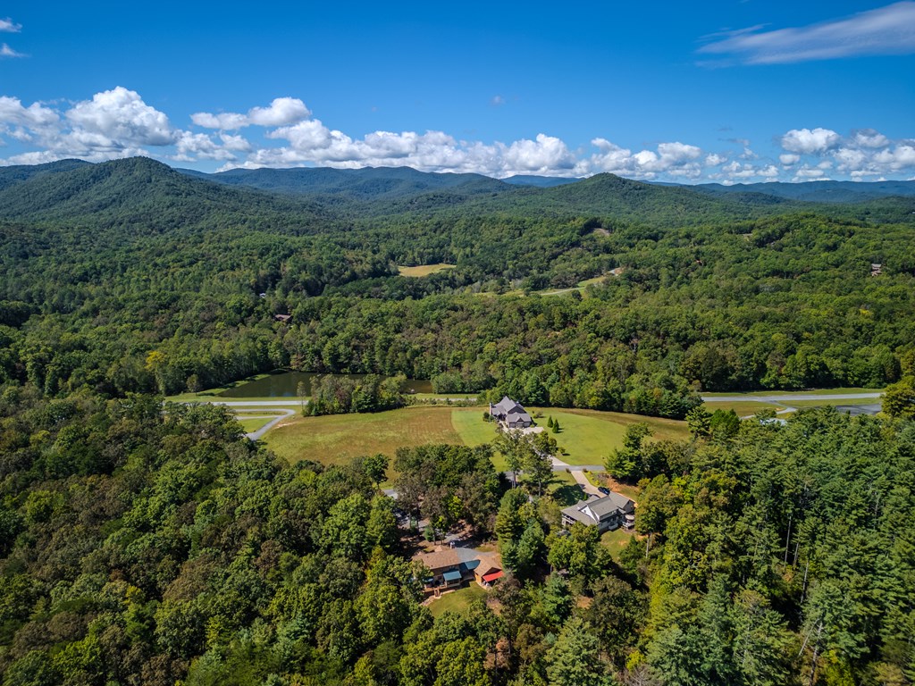 179 Cessna Loop Blue Ridge, GA 30513 - Photo 50 of 52