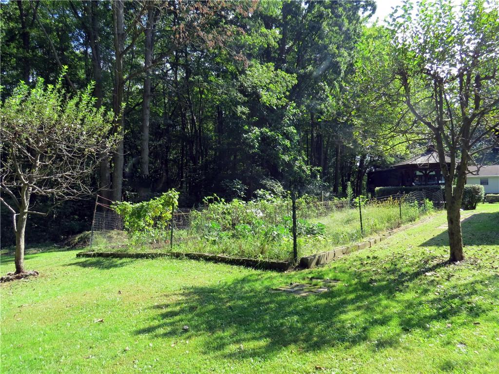 2056 Prospect Road Prospect, PA 16052 - Photo 22 of 25 a view of garden with trees