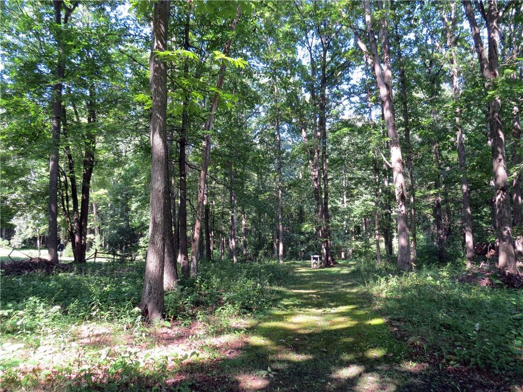 2056 Prospect Road Prospect, PA 16052 - Photo 23 of 25 a view of outdoor space with trees all around