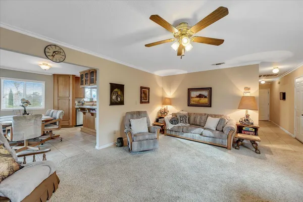 a living room with furniture flowerpot and a chandelier