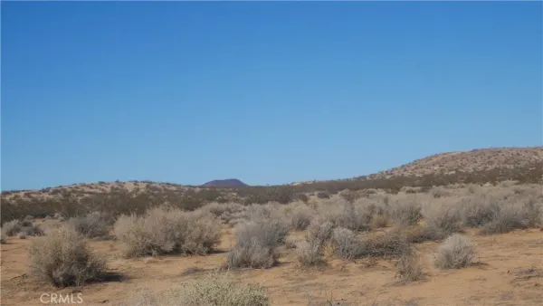 a view of a dry yard with mountains in the background