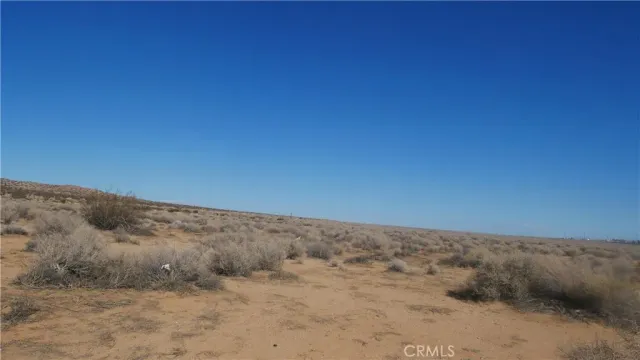 a view of a dry field with trees in background