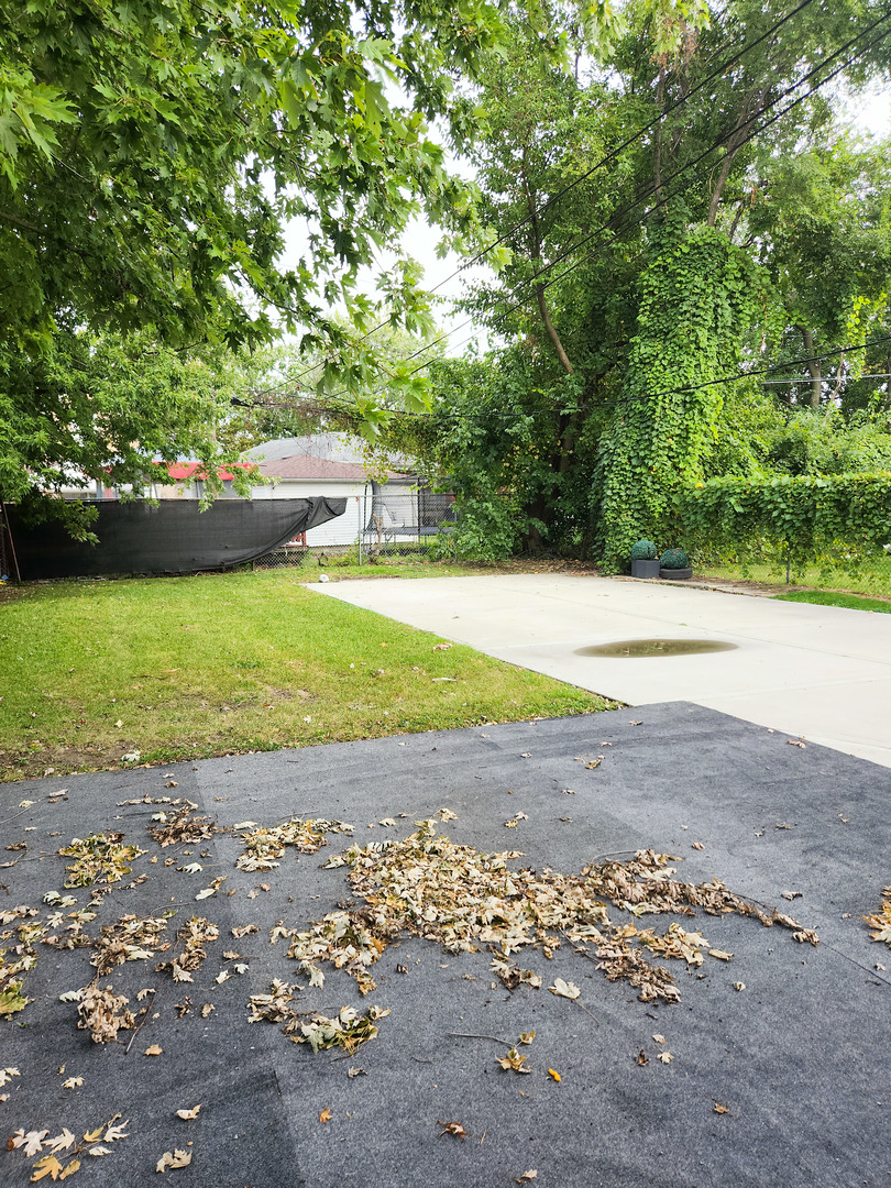 11015 South Morgan Street Chicago, IL 60643 - Photo 6 of 6 a view of a yard with plants and large trees