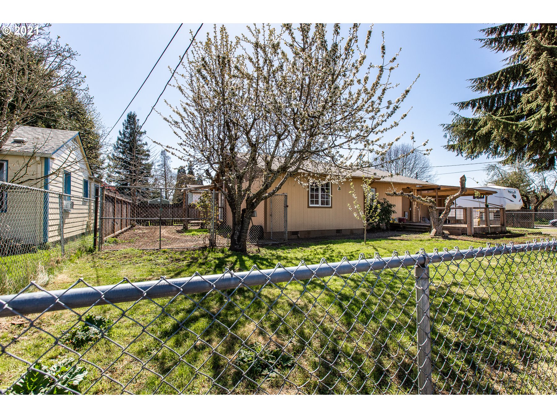 3783 Oregon Avenue Springfield, OR 97478 - Photo 3 of 24 Gallery Image 3