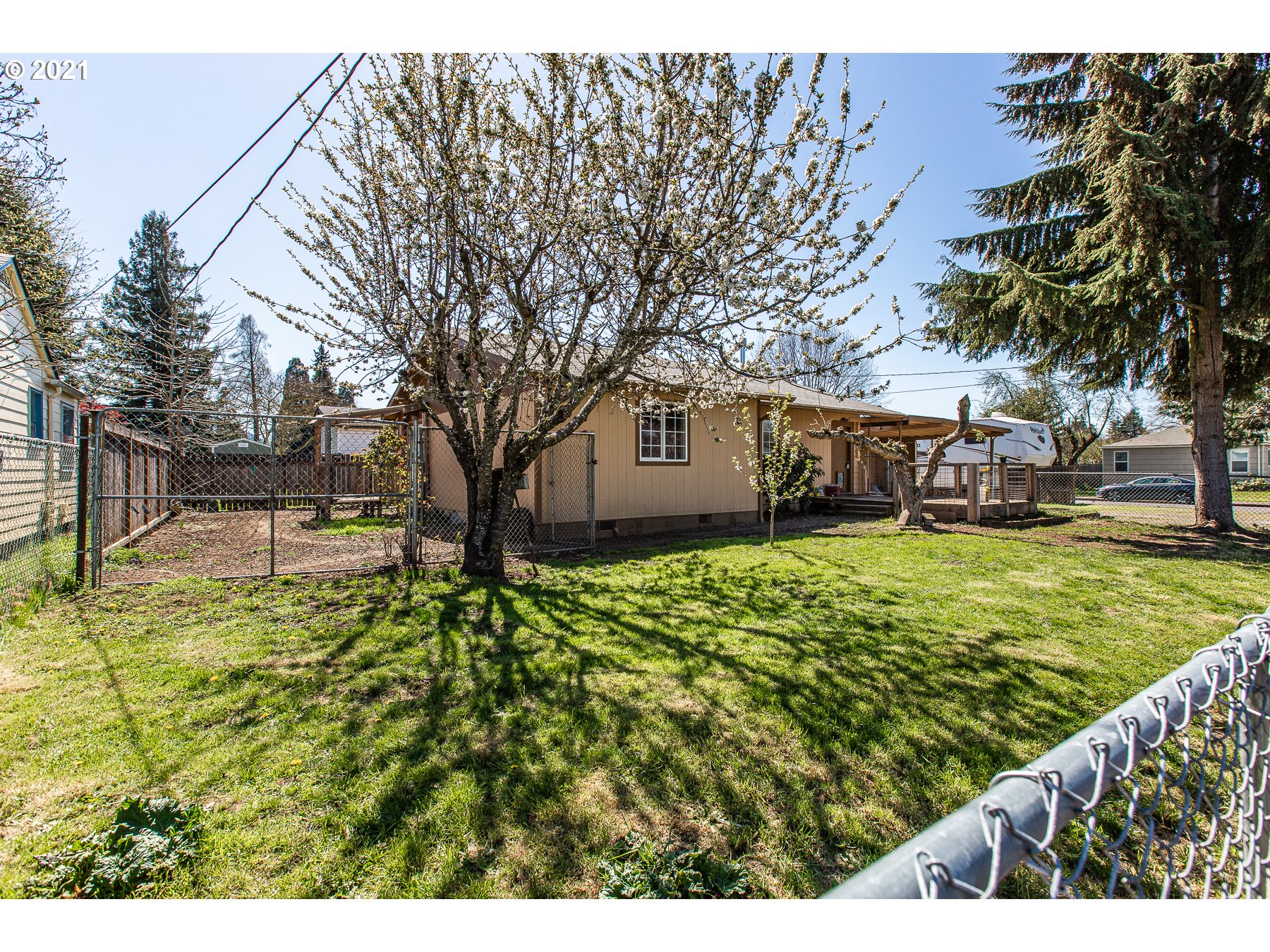 3783 Oregon Avenue Springfield, OR 97478 - Photo 4 of 24 Gallery Image 4